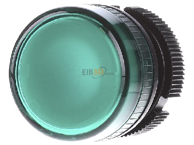 Front view Schneider Electric ZA2BV03 Indicator light element green IP65 
