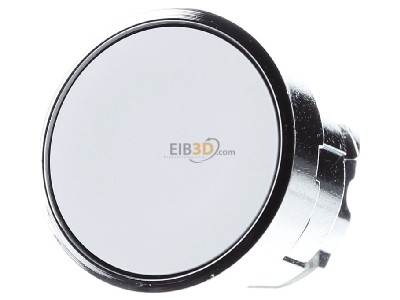 Frontansicht Schneider Electric ZB4BA1 Drucktaster flach, ws 
