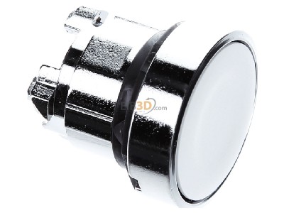 Ansicht oben links Schneider Electric ZB4BA1 Drucktaster flach, ws 