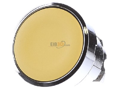 Frontansicht Schneider Electric ZB4BA5 Drucktaster flach, ge 