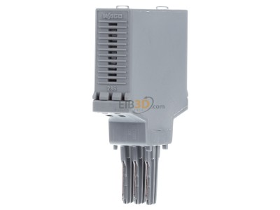 Ansicht rechts WAGO 286-752 Optokoppler-Baustein 24V/24VDC 500mA 