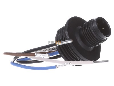 Ansicht links Eaton M12A Anschlussstecker M12x1,IP65,230V/4A 