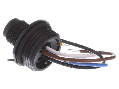 Ansicht rechts Eaton M12A Anschlussstecker M12x1,IP65,230V/4A 