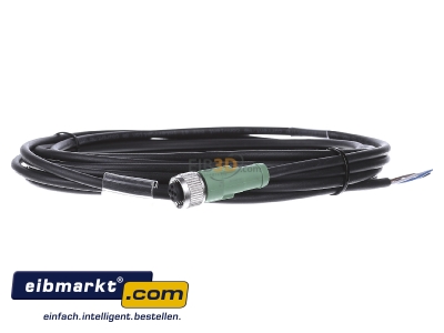 Frontansicht Phoenix Contact SAC-4P-5,0-PUR/M12F Sensor-Aktor-Kabel M12 gerade,4p.,5m 