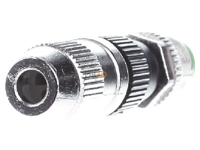 Back view Murrelektronik 7000-12481-0000000 Circular connector for field assembly 
