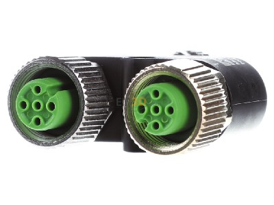 Ansicht hinten Murrelektronik 7000-41121-0000000 T-Stck M12St. auf M12 Bu. 