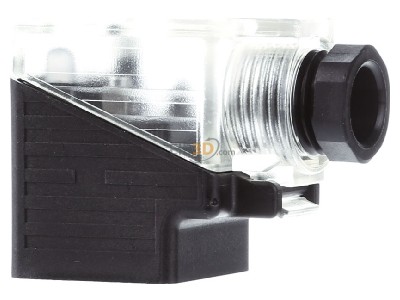 View on the right Murrelektronik 7000-29441-0000000 Valve connector (field assembly) 
