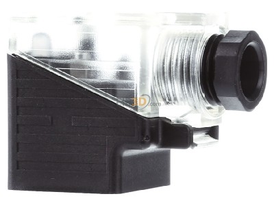 Ansicht rechts Murrelektronik 7000-29441-0000000 Stecker 