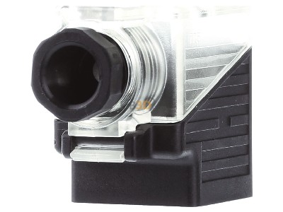 Back view Murrelektronik 7000-29441-0000000 Valve connector (field assembly) 
