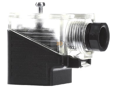 View on the right Murrelektronik 7000-29541-0000000 Sensor-actuator connector 
