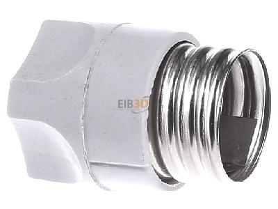 View on the right Hager LE18SI Neozed screw cap D01 
