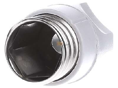 Back view Hager LE18SI Neozed screw cap D01 
