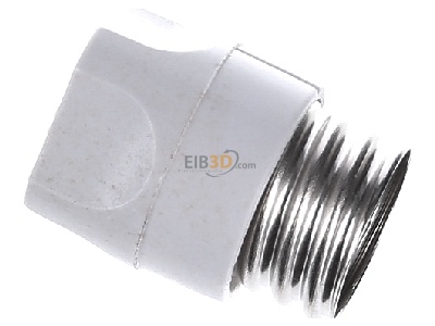 View top right Hager LE18SI Neozed screw cap D01 
