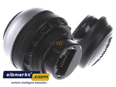 View on the right Murrelektronik 4000-73000-0010000 RJ45 2x8(8) Data outlet 
