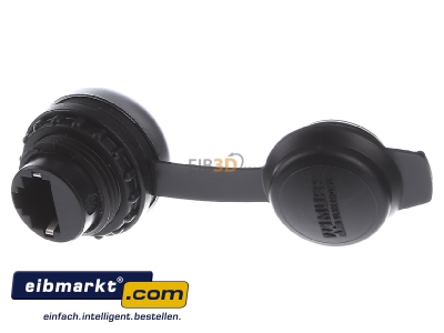Back view Murrelektronik 4000-73000-0010000 RJ45 2x8(8) Data outlet 
