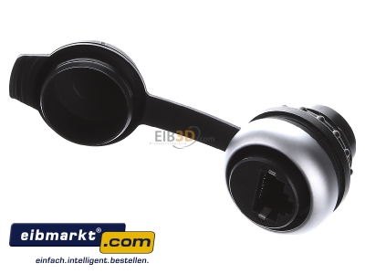 View up front Murrelektronik 4000-73000-0010000 RJ45 2x8(8) Data outlet 
