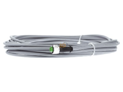Frontansicht Murrelektronik 7000-12221-2341000 M12 Bu gerade m.frei. Leitungsende 