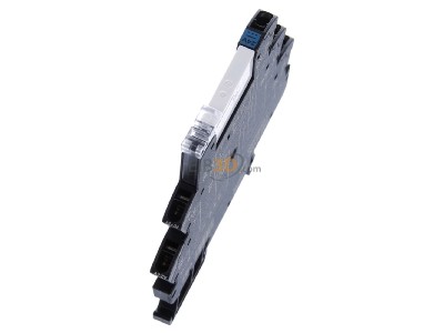 View top left Weidmller TRZ 24VDC 1CO Switching relay DC 24V 
