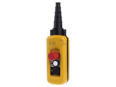 Front view Schneider Electric XACA29141 Pendant control station 2 buttons 
