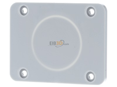 Frontansicht Schneider Electric 13135 Geh�useplatte f�r 50x50mm Auslass 