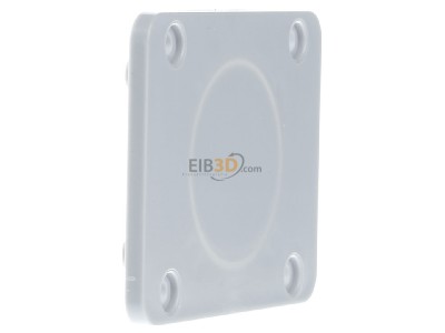 Ansicht links Schneider Electric 13135 Geh�useplatte f�r 50x50mm Auslass 