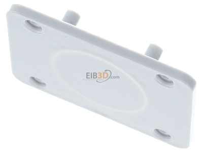 Ansicht oben vorne Schneider Electric 13135 Geh�useplatte f�r 50x50mm Auslass 
