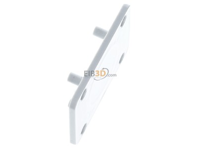 Ansicht oben links Schneider Electric 13135 Geh�useplatte f�r 50x50mm Auslass 