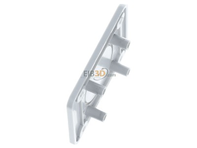 Ansicht oben rechts Schneider Electric 13135 Geh�useplatte f�r 50x50mm Auslass 