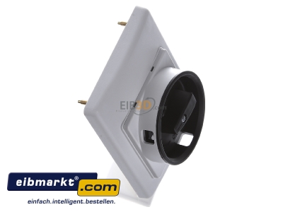 Ansicht oben links Siemens Indus.Sector 3RV1923-4B Frontplatte Isolierstoff 