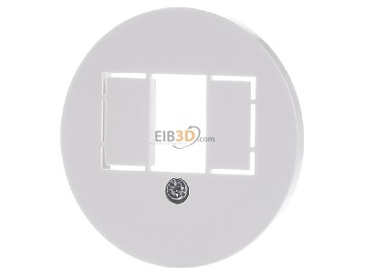 Front view Berker 1040 Central cover plate TAE 
