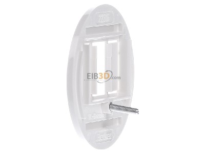 View on the right Berker 1040 Central cover plate TAE 
