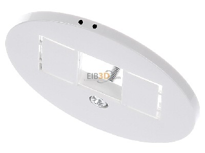 View up front Berker 1040 Central cover plate TAE 
