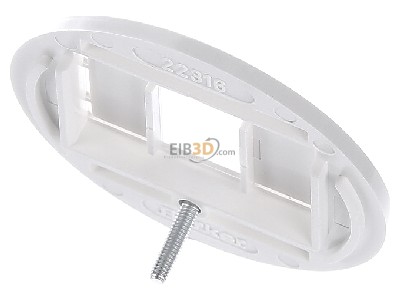 Top rear view Berker 1040 Central cover plate TAE 
