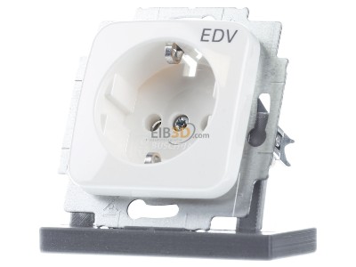 Front view Busch Jaeger 20 EUC/DV-214 Socket outlet (receptacle) 
