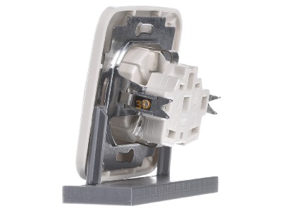 View on the right Busch Jaeger 20 EUJ-212 Socket outlet (receptacle) 
