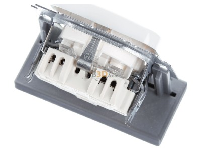 Top rear view Busch Jaeger 20 EUC-214 Socket insert alpine white with plug connection, 
