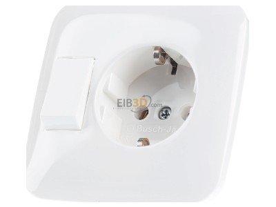 Front view Busch Jaeger 4310/6 EUJ-214 Combination switch/wall socket outlet 
