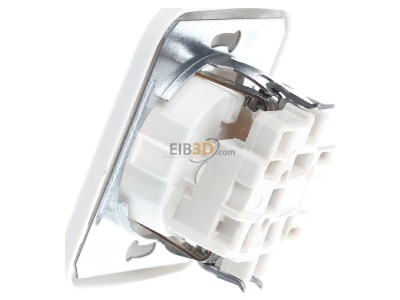 View on the right Busch Jaeger 4310/6 EUJ-214 Combination switch/wall socket outlet 
