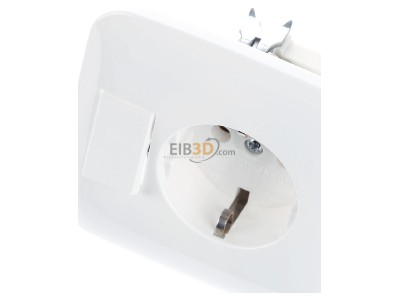 View up front Busch Jaeger 4310/6 EUJ-214 Combination switch/wall socket outlet 
