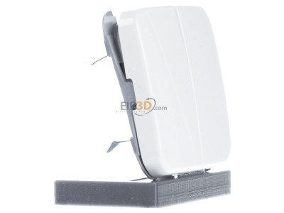 Ansicht links Busch Jaeger 2505-214 Wippe aws Serie 