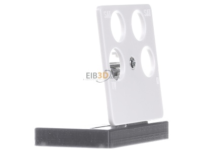 Ansicht links Busch Jaeger 1743/10-04-214 Zentralscheibe aws Antenne, 4-fach 