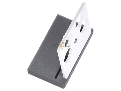 Ansicht oben links Busch Jaeger 1743/10-04-214 Zentralscheibe aws Antenne, 4-fach 