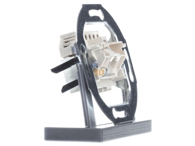 View on the left Busch Jaeger 0213 RJ45 8(8) Data outlet white 
