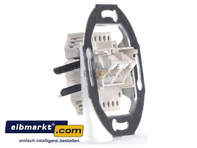 View on the left Busch-Jaeger 0215 RJ45 8(8) Data outlet white 
