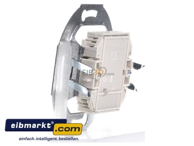 View on the right Busch-Jaeger 0215 RJ45 8(8) Data outlet white 

