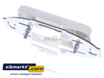 Ansicht oben hinten Busch-Jaeger 2553-214 Zentralscheibe aws Neutrik/XLR 