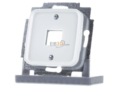 Frontansicht Busch Jaeger 2561-214 Zentralscheibe aws fr 1 Modular Jack 