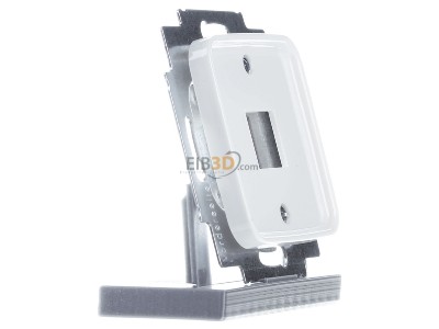 Ansicht links Busch Jaeger 2561-214 Zentralscheibe aws fr 1 Modular Jack 