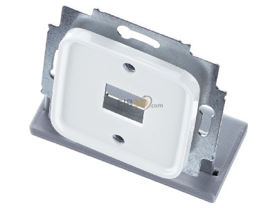 Ansicht oben vorne Busch Jaeger 2561-214 Zentralscheibe aws fr 1 Modular Jack 