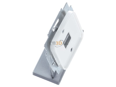 Ansicht oben links Busch Jaeger 2561-214 Zentralscheibe aws fr 1 Modular Jack 
